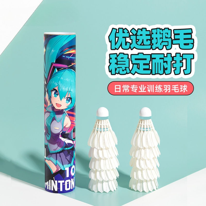 Hatsune Miku creative anime pe – Badminton Tv Bewertung und Preis